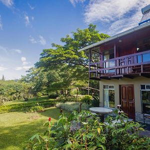 Standard Villa